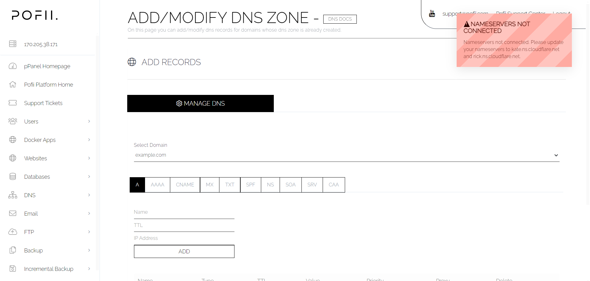 ppanel dns page